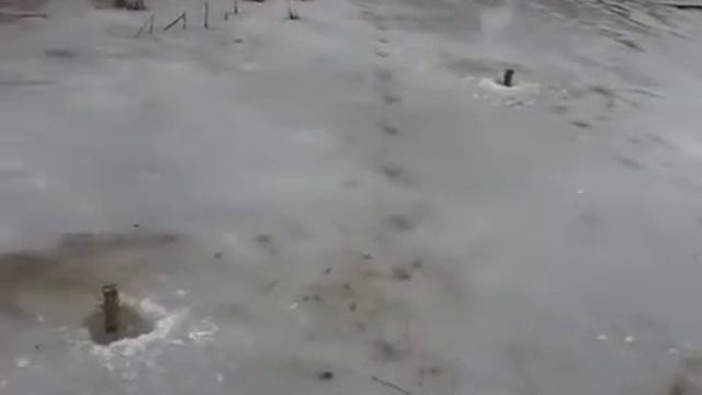 Ремонт кладки и строительство 