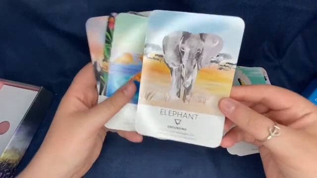Spirit Animal Wisdom Oracle | Unboxing & Flip-through смотреть онлайн