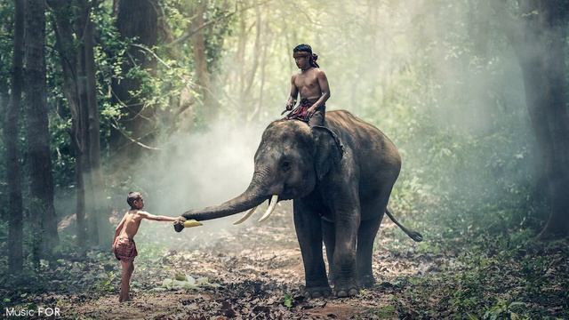 Индийская табла.