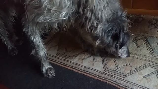 Prawn cracker thief Banu смотреть онлайн