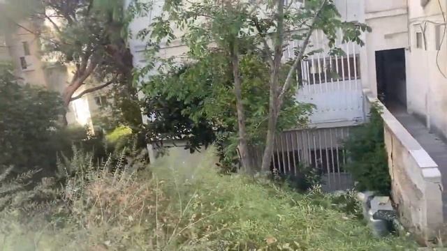 Кабаны в городе//Варя танцует//Опять переезд//Идем в садик! смотреть онлайн