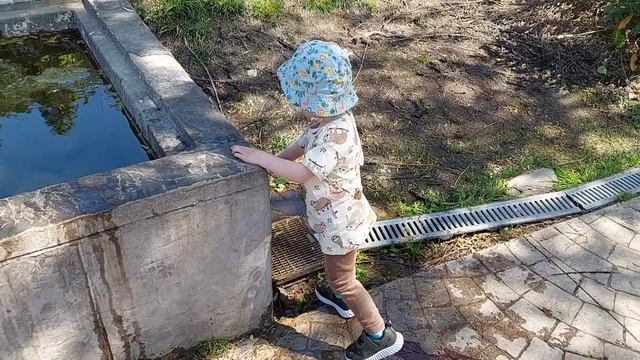 ВЛОГ. Первый день отпуска. Дендропарк Южные культуры. Набережная. Румтур. смотреть онлайн