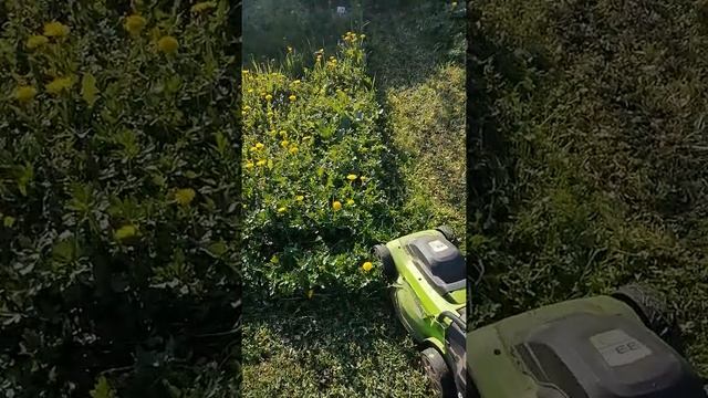 Электрическая газонокосилка Greenworks 33 см. Второй сезон смотреть онлайн