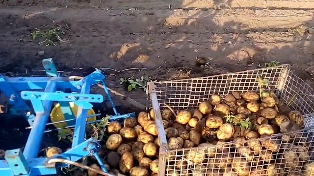Уборка картофеля с помощью контейнера №2 смотреть онлайн