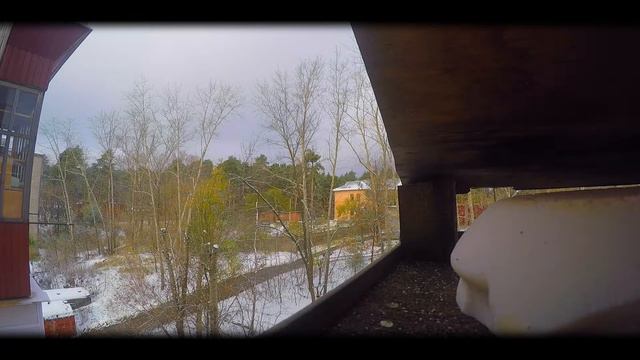 Bird. Птичка. смотреть онлайн
