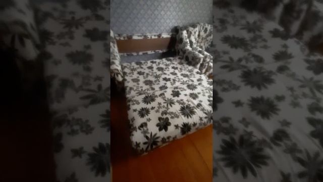 Диван два кресла,все раскладные. Видео для авито смотреть онлайн
