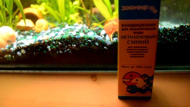 Малек карликового змееголова. смотреть онлайн