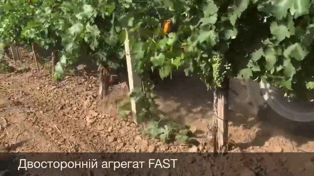 Специализированная техника для виноградников смотреть онлайн
