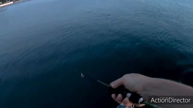 Ставрида на пилькеры. Рокфишинг на Чёрном море смотреть онлайн