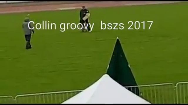 Collin Groovy vd Ybajo Hoeve son of Groovy Di Casa Marrarelli | BSZS ULM 2017 TSB смотреть онлайн