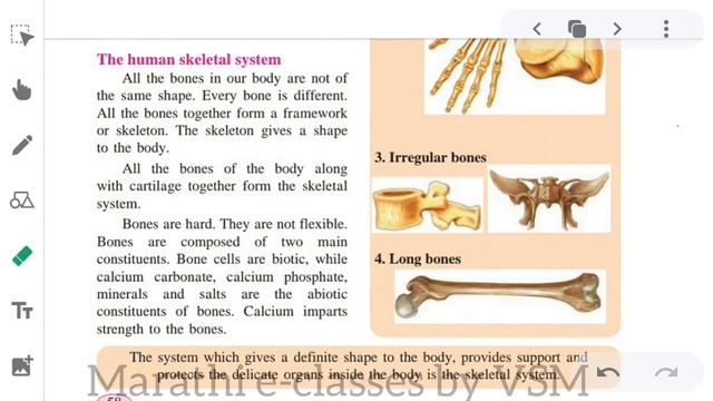 6th std, chapter 8,general science, skeletal system and skin, part 1 subject : science смотреть онлайн