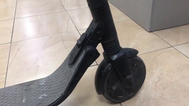 20 ноября 2023 г.