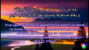Это самый полезный ДУА слушай утром и вечером - ДУА БАРАКАТ, РИЗК, БОГАТСТВО И ДУШЕВНОГО ПОКОЯ