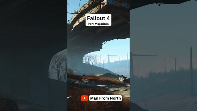FH 5 09 Look Better in Black - Fallout 4 Magazine Perks Location #fallout4 #fallout смотреть онлайн