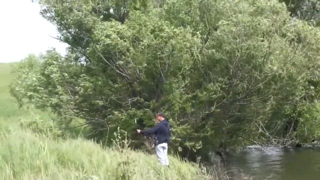 Fish-Point.ru Щука не атакует Виталин воблер (special for yet_warm). смотреть онлайн