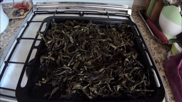 Сергей Леонов