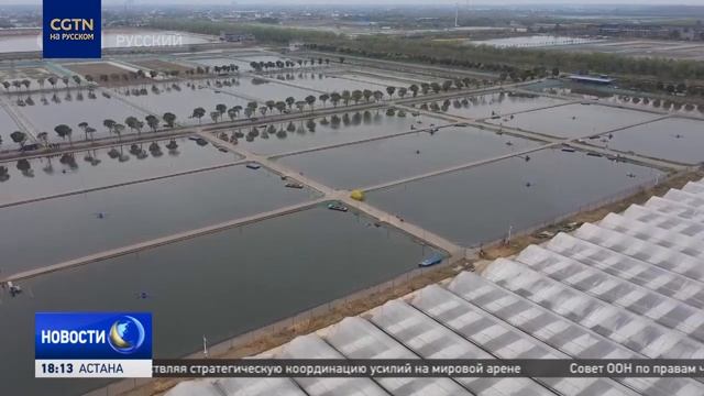 В Китае действует 10-летний запрет на вылов рыбы в реке Янцзы смотреть онлайн