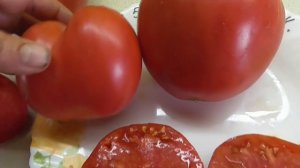 Самый популярный сибирский томат - Любимый праздник. Ольга Чернова.