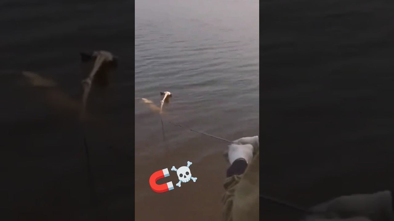 Самая жуткая находка во время магнитной рыбалки #магнит #рыбалка #находки смотреть онлайн