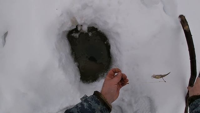 Три дня наедине с Печорой \ Часть 3 \ Утро в таёжной глуши \ Проверка снастей \ Есть РЫБА !!! смотреть онлайн