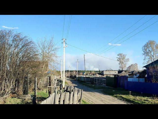 Курганская область пожар. Лес горит за огородами Самолёт БЕ 200 тушит смотреть онлайн