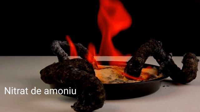 ŞARPE DE FARAON химический опыт фараонова змея в исполнении Узун Диана-Камелия смотреть онлайн