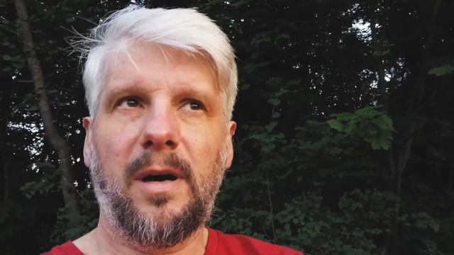 #иерархия #бизнес #лидер. Иерархия в биологии и бизнесе смотреть онлайн