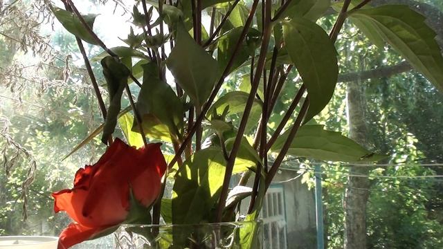 КРЁСТНОЙ-авторская песня2021август песня посвящается В.А.Марасиной крёстной маме от сына смотреть онлайн