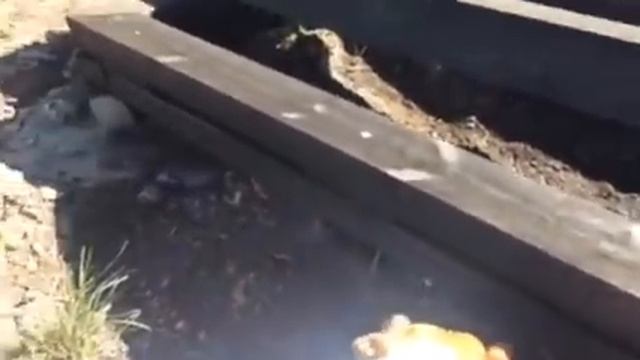 Летний душ на даче смотреть онлайн