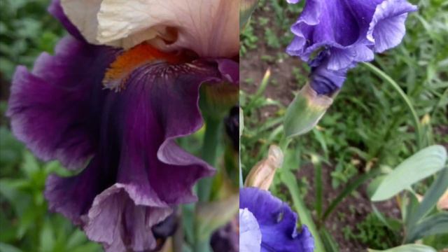 Доброе утро люди! смотреть онлайн