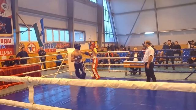 Тхэквондо против боксёра смотреть онлайн