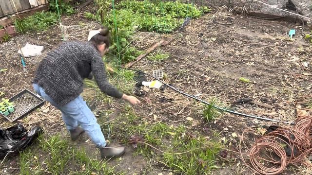 Installing Drip Irrigation off Existing Line #dripirrigation #backyardfarming #gardening #planting смотреть онлайн