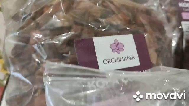 Надоело молчать! ??Хаю продавцов орхидеи ?Супппппер кора для орхидеи! ? смотреть онлайн