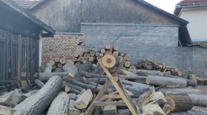 Husqvarna 353 vs. Stihl MS 260 .