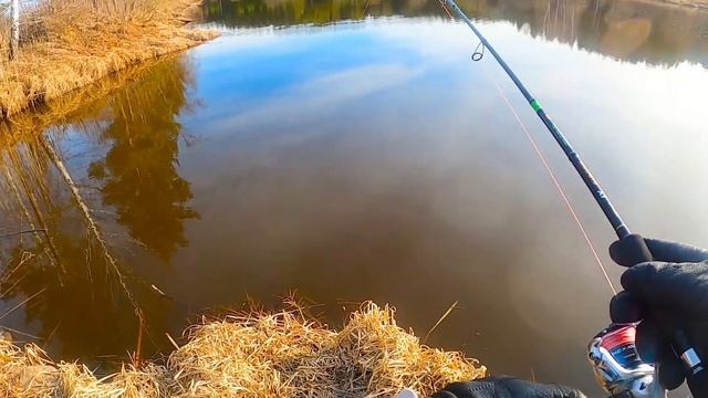 Рыбалка на спиннинг на реке, тест спиннинга FAVORIT X1 762M с тестом 7 24гр смотреть онлайн