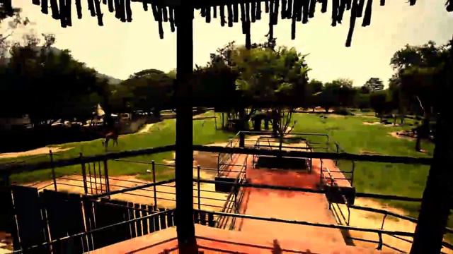 Паттайя видео экскурсии смотреть онлайн