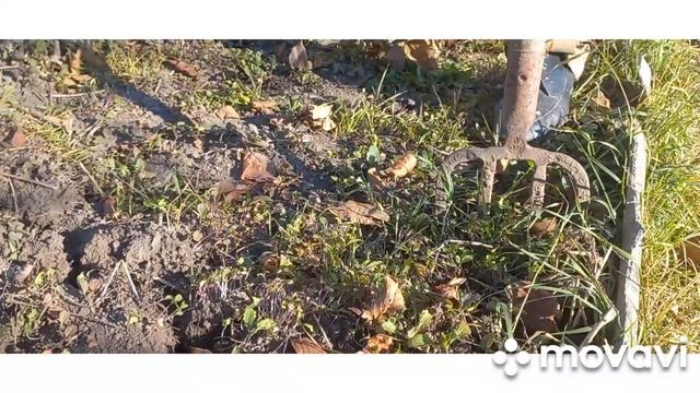 ?#70Дачу готовим к зиме#милла люмик #дачные секреты..? смотреть онлайн