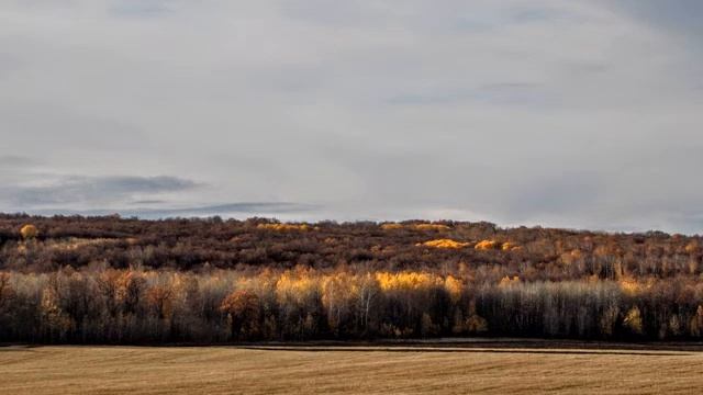 Вдоль осенних полей.