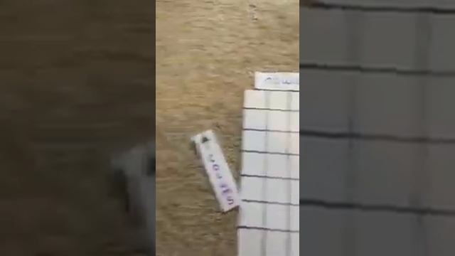 Making Arrays-Year 1 maths смотреть онлайн