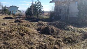 Выравнивание участка + заезд