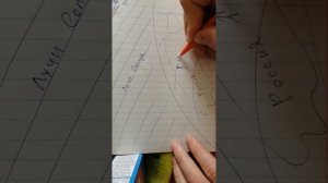 Почему Луна освещена будто бы не Солнцем? Простое объяснение: почему Луна освещена "сверху".