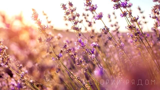 Оказавшись на улице с детьми, молодая вдова отправилась в старенький домик в деревне. А увидев… смотреть онлайн