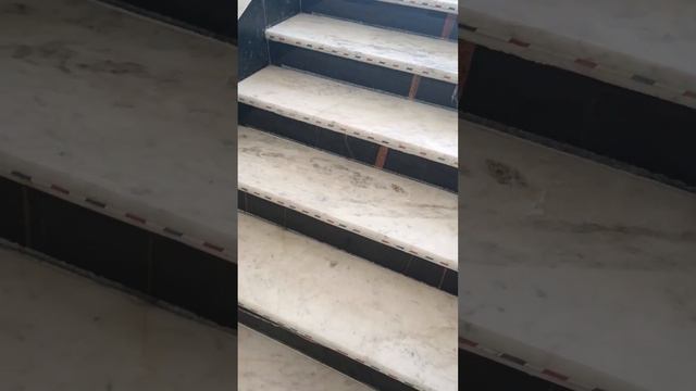 white marble steps,white marble for siri смотреть онлайн