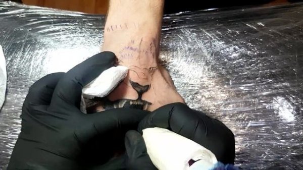 Lion Tattoo- Timelapse