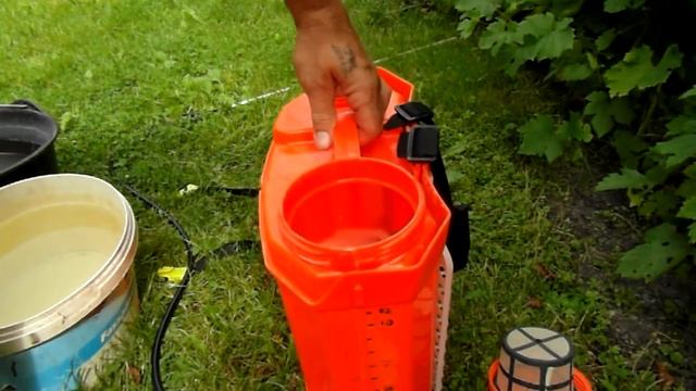 Кроплю Квадріс й підживлюю кущі Калій Магнезій. смотреть онлайн