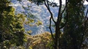 Самая длинная река мира   Нил