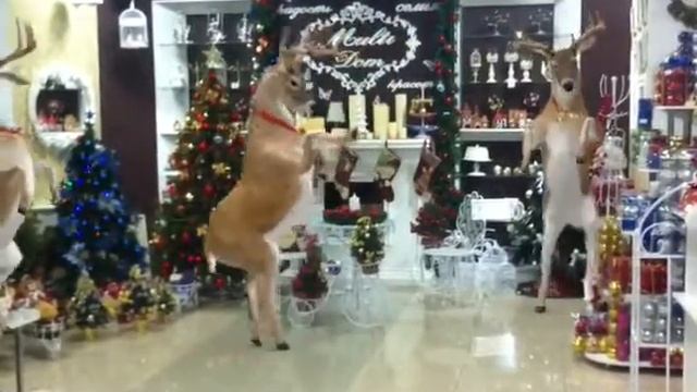 Прикольный олень смотреть онлайн