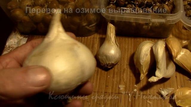 ЗИМА. Поговорим о РОКАМБОЛЕ. смотреть онлайн