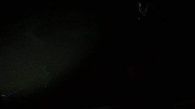 Как ловить карпа? Вываживание ночью. смотреть онлайн