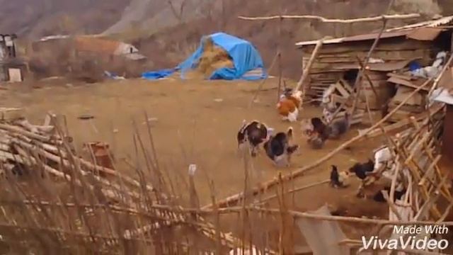 Горный с Зумсой . смотреть онлайн